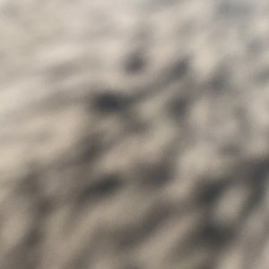 Meet your Posher, Ella